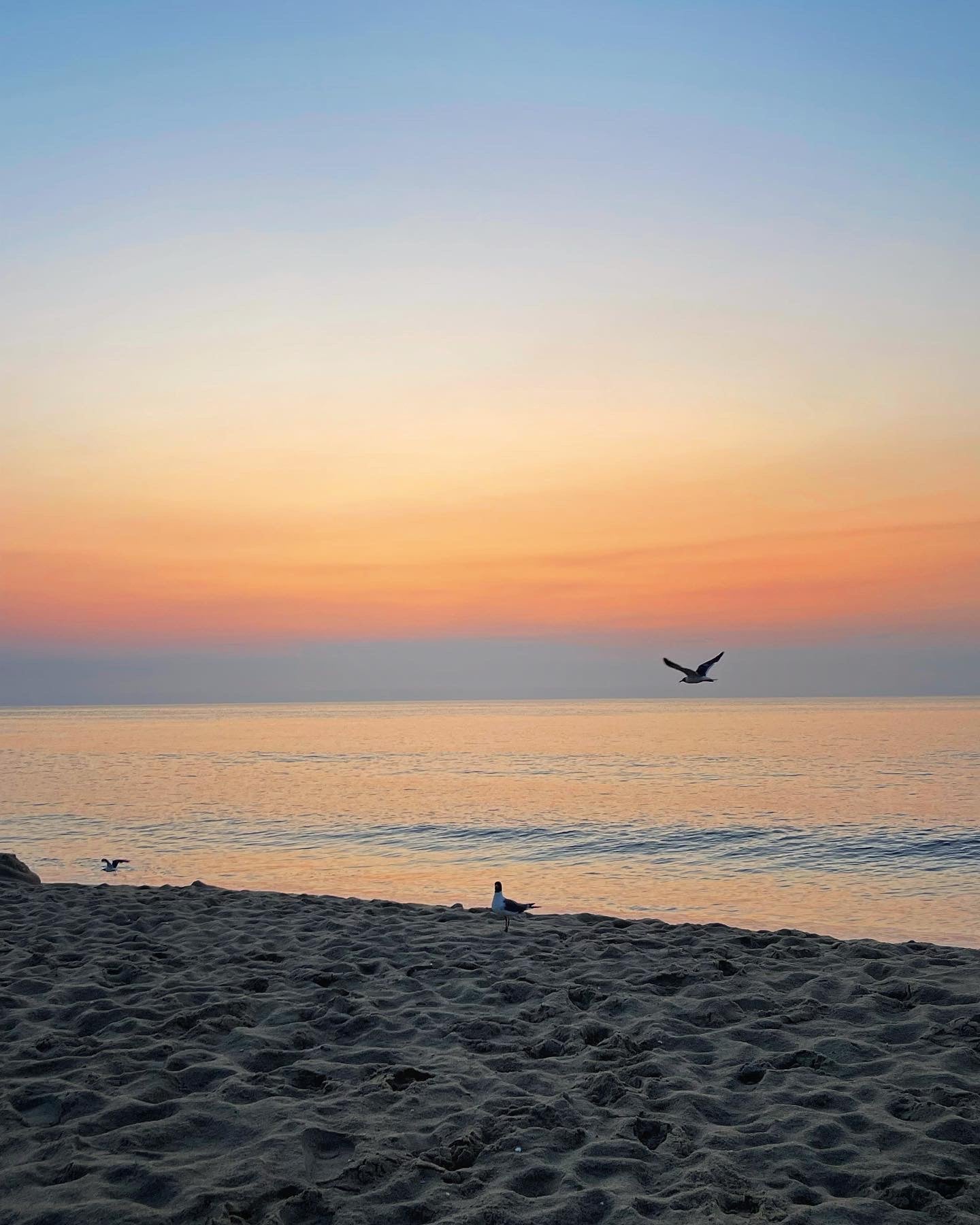 Ocean City Maryland Sunset